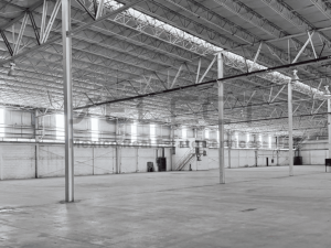 Select | Wendy Buildings