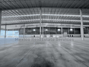 Select | Nave Asia Pacific (NIL-BAPI) Select | Nave Asia Pacific (NIL-BAPI)