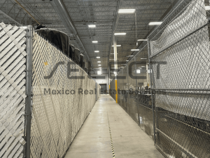 Select | Pinoncelli Aerojuarez Building Sublease